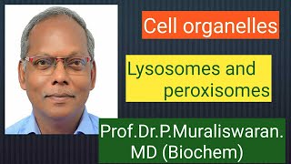 Lysosomes amp Peroxisomes Muralis Simplified Biochemistry [upl. by Asseniv]