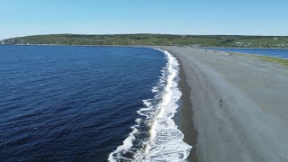 Whales at St Vincents Beach Newfoundland and Labrador Canada 2024 [upl. by Sholom]