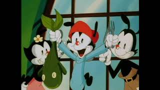 Animaniacs  A Aula de Etiqueta Dublado PTBR [upl. by Assed532]