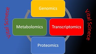 Metabolomics [upl. by Idissak]