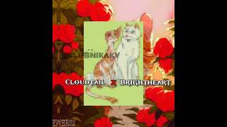 Cloudtail x Brightheart brightheart cloudtail warriorcats warriorcatsedit котывоители эдит [upl. by Nivi]