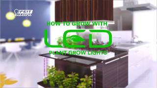 BEST GROW LIGHTS FOR BEGINNERS [upl. by Svoboda]