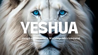 Prophetic Worship Instrumental YESHUAJesus Image Intercession Soaking Worship [upl. by Maryellen]