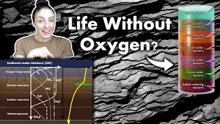 Life in Oxic Suboxic amp Anoxic Sediments Yes Some Life Doesnt Require Oxygen  GEO GIRL [upl. by Eanahs]