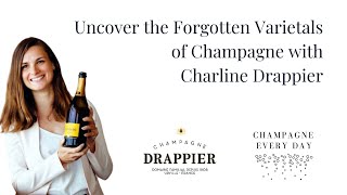 Carbon Neutral Champagne Drappier and the Clarevallis cuvee [upl. by Bette-Ann]