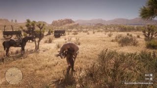 Red Dead Redemption 2  RDR2  BAJA CALIFORNIA PRONGHORN BUCK  LOCATION  ZOOLOGIST 110  SKIN DEEP [upl. by Inaluiak]