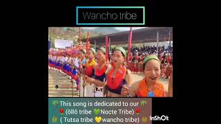 New OLLO amp NOCTE and TUTSA amp WANCHO  Tribe song 2024 [upl. by Given]