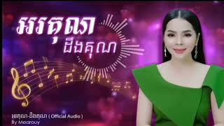 អរគុណដឹងគុណ by Maeroy  Audio Version [upl. by Llirpa]