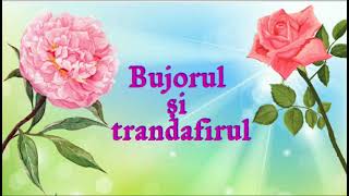 Bujorul și trandafirul 🌹🌸observare cunoasterea mediului [upl. by Rennie]