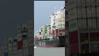 YM CERTAINTY SHARP TURN ship containership cargoship shipspotting [upl. by Ragan89]