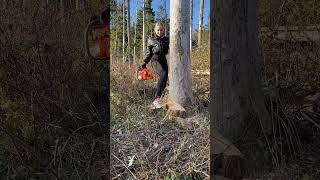 Woman vs Chainsaw wood woodworking funny women [upl. by Lua]