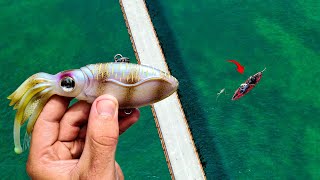 CHASING BRIDGE MONSTERS IN THE FLORIDA KEYS [upl. by Laryssa]