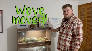 Reptile Room Tour 2024 moving vlog [upl. by Ciredor]