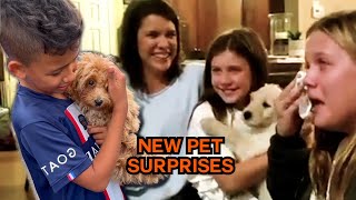 Is He Ours 😭 New Pet Surprise 🐾 compilation  PAWSOME PETS [upl. by Namhcan]