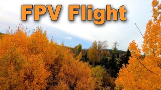 FPV drone Autumn flight [upl. by Aihsemot]