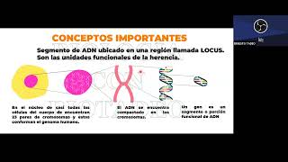 BIOLOGIA CLASE 09  GENÉTICA MENDELIANA GENIOS [upl. by Nidraj]