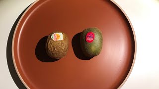 Zesy002 Sungold and Oriental Red kiwifruit Actinidia chinensis [upl. by Hallock]