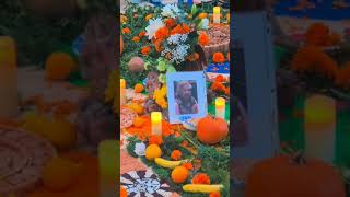 celebration diademuertos tualatin oregon [upl. by Isnam]