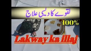 Lakwe Ka Illaj 100 By Hashim Mahmood [upl. by Ennaillij922]