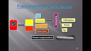 PREPARACION HEMOCOMPONENTES [upl. by Cicero]