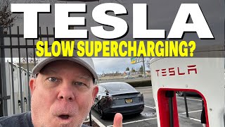 How to Optimize Your Tesla Charging for Daily Commutes [upl. by Torie]