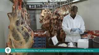 Environmental Swabbing  How to Collect Samples from Meat [upl. by Serrell745]