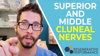 Superior and Middle Cluneal Nerves  DailyDocTalk 110 [upl. by Salchunas]