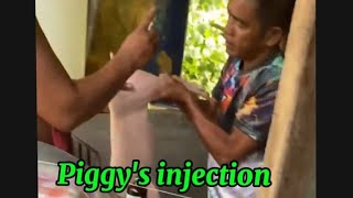 Piggys vitamins Injection so hard 😭 [upl. by Anujra]