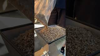 Milling Grain on the Motorized MaltMuncher [upl. by Sukramal]