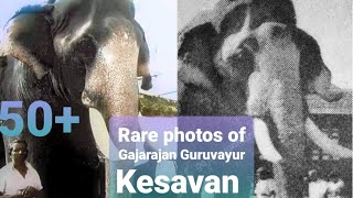 Rare photos of Gajarajan Guruvayur Kesavan [upl. by Arais]