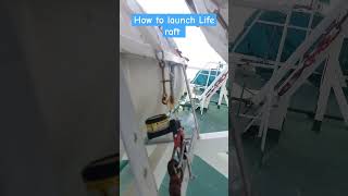 How to launch life raft 😎🌊⚓ships shortsshortvideoviralvideo ytshorts youtubeshorts [upl. by Olwen814]