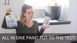 Does AllInOne Paint ACTUALLY Work [upl. by Rihana]