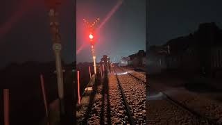 Elephant amp Train 😳😰 shorts railway train elephant trainaccidentnews locopilot rrbalp vlog [upl. by Annaert]