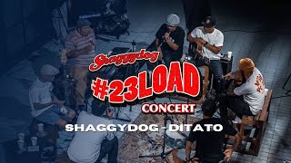 23LOADCONCERT  SHAGGYDOG  DITATO LIVE ACOUSTIC [upl. by Mich]