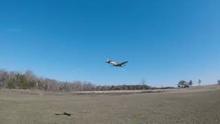 FMS P40B Tomahawk 1400mm 3rd and last flight of the morning before work More low flybys [upl. by Gabbi42]