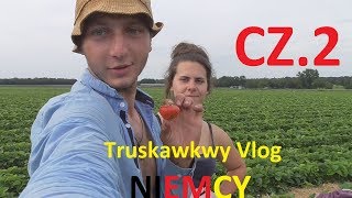 Truskawkowy Vlog  Zbiór truskawek Ahlhorn Niemcy 2019 Cz2 [upl. by Edasalof]