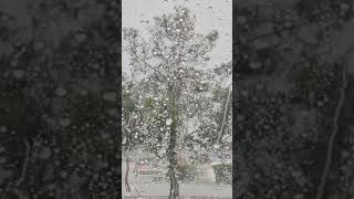 Hailstorm  19 August 2024 nature rain hail monsoon [upl. by Westerfield]