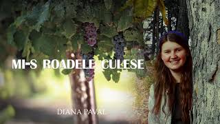 Diana Paval  Mis roadele culese \\ Official [upl. by Eniagrom]