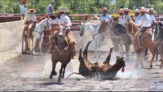 Chava Belmontes quot JOVEN RANCHERO quot  PROMO 2014 [upl. by Euqirat648]