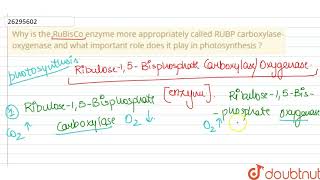 Why is the RuBisCo enzyme more appropriately called RUBP carboxylaseoxygenase and what important [upl. by Farhsa]