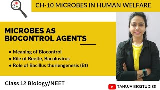 Ch10 Microbes in Human Welfare  Microbes as Biocontrol Agents  Class 12 BiologyNEETAIIMS [upl. by Ottie614]