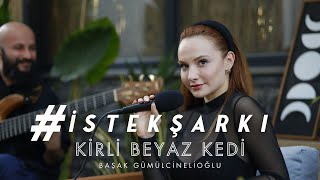 İstekŞarkı  Kirli Beyaz Kedi Akustik  Başak Gümülcinelioğlu [upl. by Eelirak544]