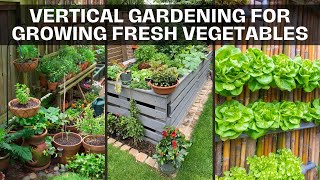 A Complete Guide to Vertical Gardening for Growing Fresh Vegetables [upl. by Leunamnauj268]