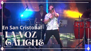 la voz caliche  FISS 2024  Concierto San Cristobal [upl. by Nylirrej914]