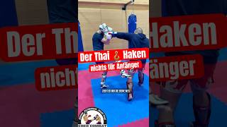 Muay ThaiHaken verbessern mma boxen boxer muaythai thaiboxen thaiboxing hook kickboxen [upl. by Ahsirtak876]