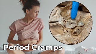 Why Men Cant Experience Period Cramps amp Why They Are So Painful [upl. by Carilyn]