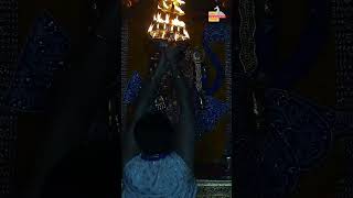 राजाधिराज द्वारकाधीश जी के संध्या आरती दर्शन 🙏 sandhyaaarti shreedwarkadhishjagadmandirdwarka [upl. by Westphal]