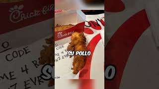 Su Pollo Empieza A Moverse😲😲 [upl. by Bahr]