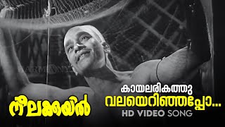 Kaayalarikathu Valayerinjappo  HD Video Song  KRaghavan  PBhaskaran  Neelakuyil1954 [upl. by Elleynod]