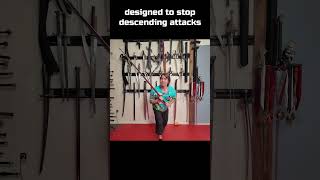 CRAZY Sword Trick to Stop getting bonked Kron sword martialarts funny [upl. by Alikahs]